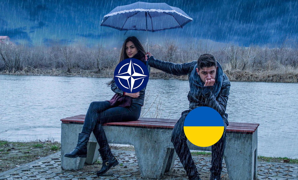 Nato friendzone 0001 1000